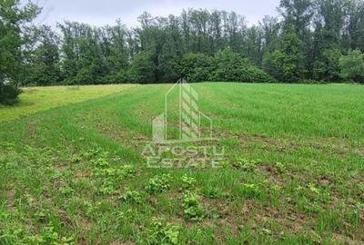 Teren mixt de 8.600 mp, ideal pentru investitie, Cuied - 3