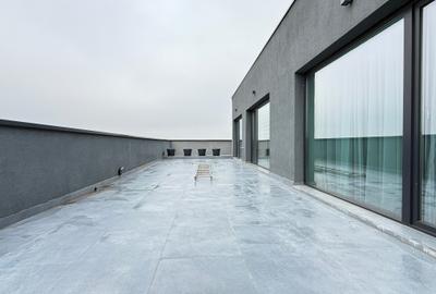 Apartament tip penthouse Dumbravita - 11