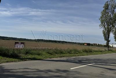 0% comision Teren intravilan - Ciolpani - Izvorani | 1.300 mp - 11