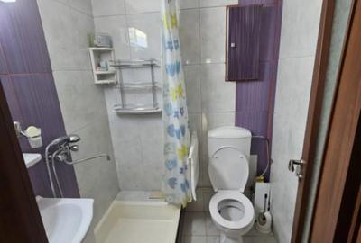 Apartament cu 4 camere decomandat în Brazda lui Novac - 8