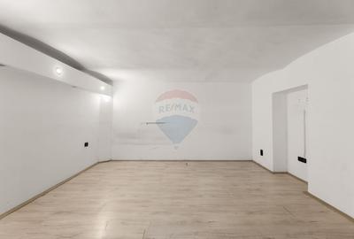 Casa spatioasa de inchiriat pe Malul Muresului - 10