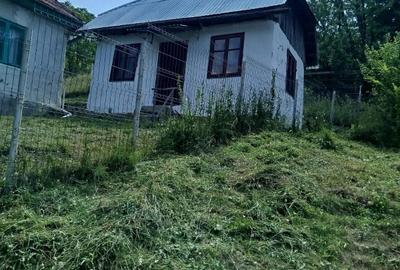 Casă cu 3 camere în Vadu Oii - 4