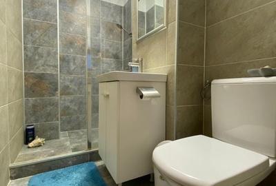 4 camere Stirbei Voda - 9