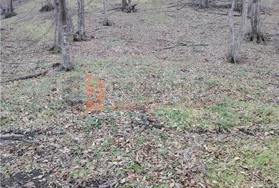 Teren intravilan zona Monteoru - 2