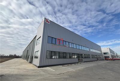 Depozit/hala/spatiu industrial Buftea - Tamasi, Ilfov - 4