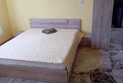 Vand casa in com.Taut,cu toate utilitatile+ livada de 100 pomi fructiferi - 6