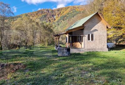 Cabana vacanta, teren 1000mp, acces direct la parau, zona Lacul Tarnita Cabana vacanta, teren 1000mp, acces direct la parau, zona Lacul Tarnita - 3