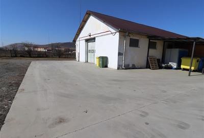 Teren intravilan 9359 mp  |  hala 786 mp | Apahida | zona Libertatii - 11