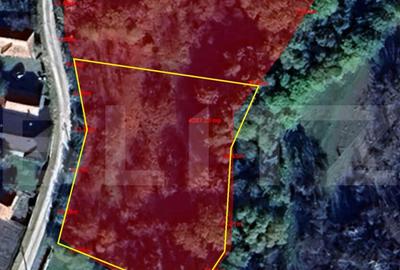 Teren de 2000 mp, în Ciurila - 1