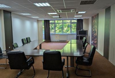 Cladire birouri D+P+4E si hala de productie, Dr.Lunca Cetatii, Sect.3 - 8