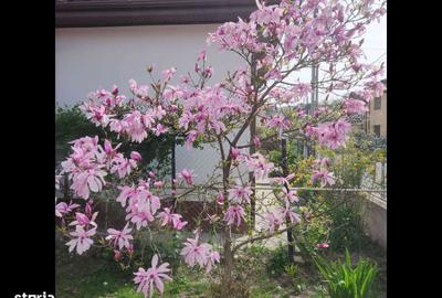 Casă cu 7 camere cu Teren 563 Mp în Exterior Vest - 11