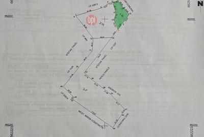 Teren Construcții intravilan de 20000 mp, în Rădășeni - 9