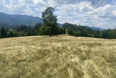 Teren de 33277 mp, în Central - 5