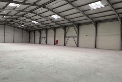 Spațiu comercial, de 1,750 mp, în Otopeni - 1