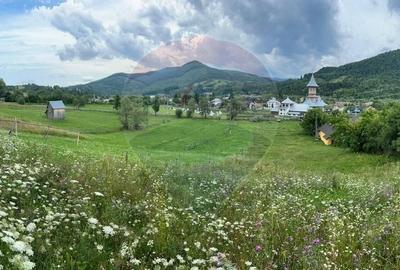 Teren 3,311mp Molid -Vama, Strada Stefan cel Mare, Suceava - 1