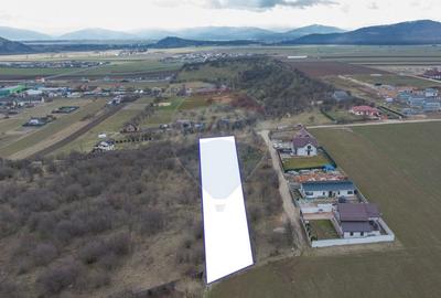 Comision 0 %! Teren intravilan de vanzare, 3,741 mp, Bod Comision 0 %! Teren intravilan de vanzare, 3,741 mp, Bod - 2