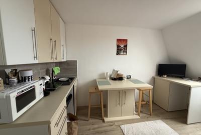 Garsoniera practica, 17 mp, mansarda - Lipovei - 3