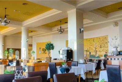 Timisoara, OPORTUNITATE INVESTITIE, hotel, clinica sau azil, 41 camere - 5