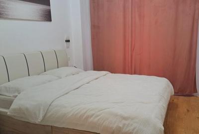 Apartament cu 2 camere semidecomandat în Vasile Alecsandri - 12
