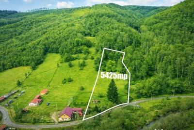 Casă cu 2 camere cu Teren 5425 Mp în Județean - 6