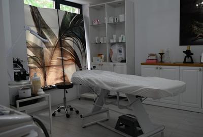 REV2004907 Vila de inchiriat Tei - 3