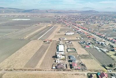 Teren Extravilan, P.U.Z. inceput - 13