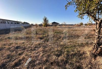 Teren Construcții intravilan de 500 mp, în Cârcea - 6