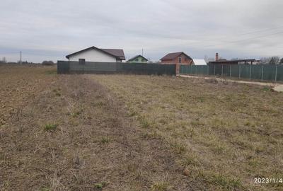 Spațiu comercial, în Adunații-Copăceni - 4