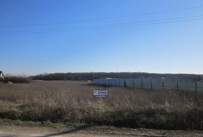 Teghes-Padurarului - 5