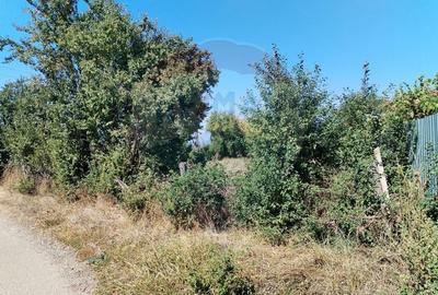 Teren 1,035mp Roznov / Strada Ses - 6