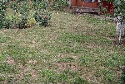 Casă cu 4 camere cu Teren 1890 Mp în Orbeni - 7