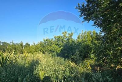 Casa de vanzare in Graniceri aproape de Arad - 10