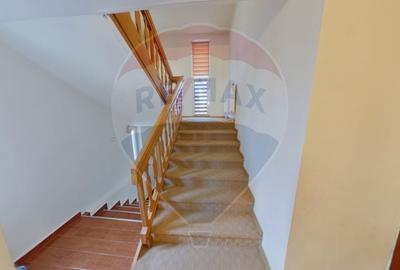 Casă individuală cu 8 camere cu Teren 4906 Mp în Central - 9