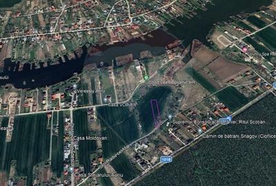 Teren Construcții intravilan de 2987 mp, în Ciofliceni - 11