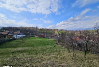 Spațiu comercial, în Coman - 7