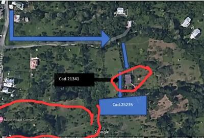 Teren de 600 mp, în Ghioșești - 2