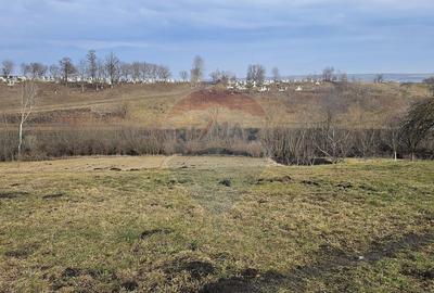 Teren de 2971 mp, în Stroiești - 1