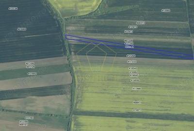 COMISION 0% Terenuri agricole 10.750mp si 700mp| Recas - 4