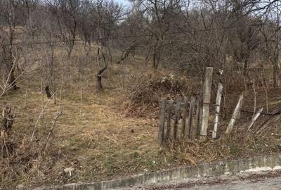 Teren de 1800 mp, în Central - 1