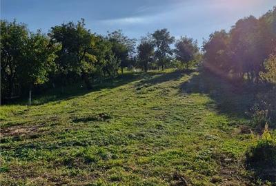 Casă cu 3 camere cu Teren 2400 Mp în Șintereag - 7