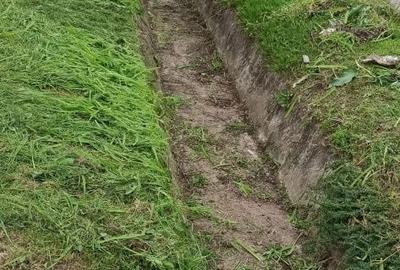 Teren de 500 mp, în Independența - 2