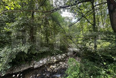 Teren, 12 000 mp, zona Crasna - 4