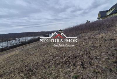 Spațiu comercial, în Paleu - 4