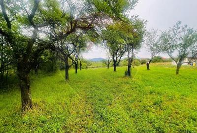 Teren pretabil constructii/10 min de Baia Mare - 10