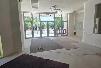 Zona Metrou Timpuri Noi sp D+P+E1 1.500mp Ideal Clinica Spital
