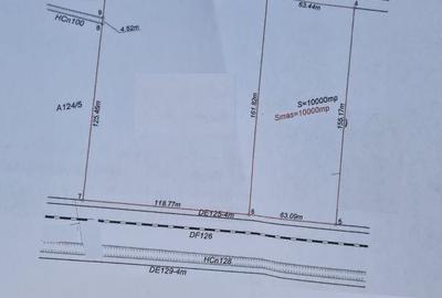 Mosnita Noua Teren 10.000mp | Front 63m | La asfalt - Zona de Case - 3