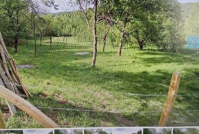 Teren Construcții extravilan de 4300 mp, în Brădetu - 3