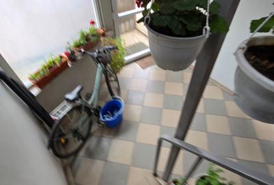 Service auto si vila de locuit Unirea Odobesti - 39