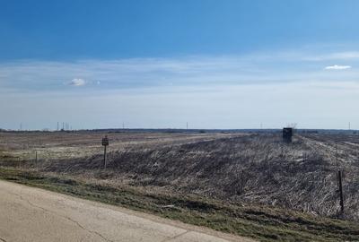 Teren agricol intravilan de 10000 mp, în Snagov - 7