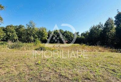 Un peisaj de poveste, ideal pentru investi?ie, Comuna Crasna - 11